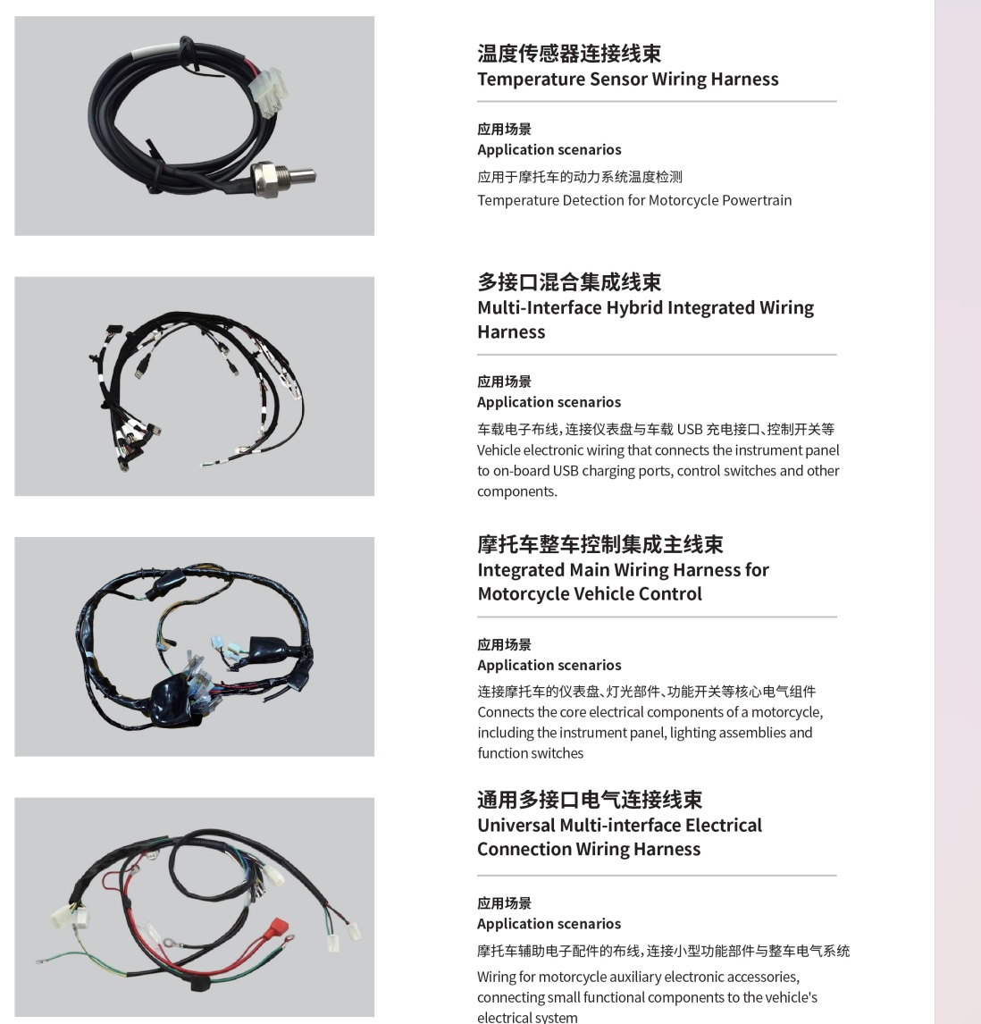 Motorcycle Ignition & Generator Harness